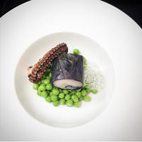 Portfolio Thumbnail 6