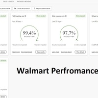 Walmart Account Performance