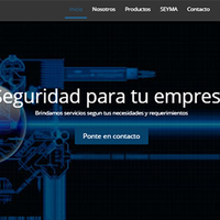 Seguridadmetalica.com.ni