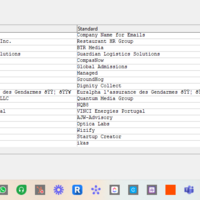 CSV for leads generated