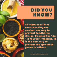 Portfolio Thumbnail 14