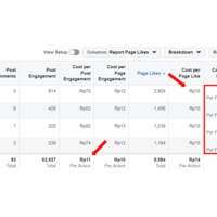 Facebook Ads for Page Likes