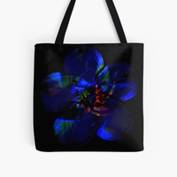 Portfolio Thumbnail 3