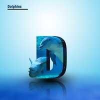 Portfolio Thumbnail 1