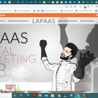 lapaas.com (internship)