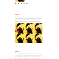 Const. Wordpress template