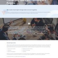 Maintaining and Speed optimization of Elementor website