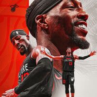 Basket graphic