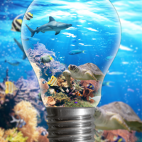 Photo Manipulation_2