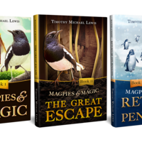 Cover design fantasy novel