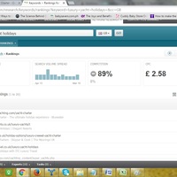 Client's Site Ranking 