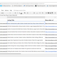 Ebay Report (Dropshipper Client)