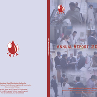 Report Cover Page