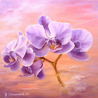 Orchids at sunrise