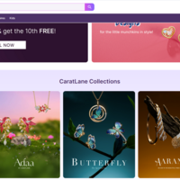 Portfolio Thumbnail 2