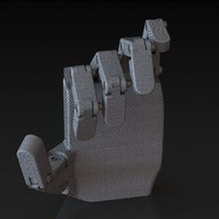 Prosthetic hand model (carbon fiber)