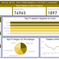 Social Media Content Analysi/s