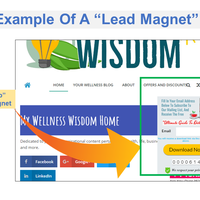 Lead Magnet (In green box)