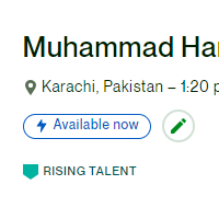 Rising Talent Badge