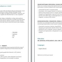 Resume 1