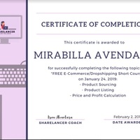 E-Commerce/Dropshipping Short Course