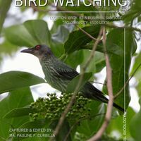 Academic Cover 