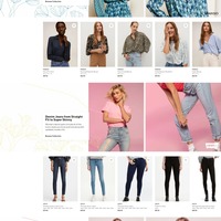 Shopify VA