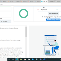 Content Writing 5  Dupli checker
