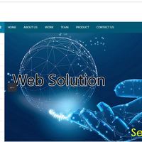 https://wsolution.in/