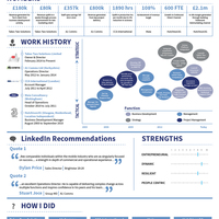 Infographic Resume