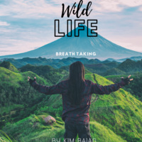 Book Cover Design 