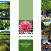 Branding for a Real Estate project in Mauritius