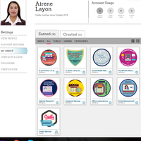 Badges