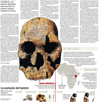 Editorial Design, Infographic