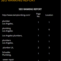 SEO Ranking Report