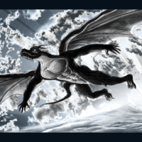 Portfolio Thumbnail 37