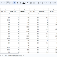 Project was on student results using Excel