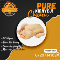 Flyer for chicken advertisement