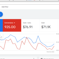 Google Ads Profile