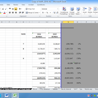 Client Profit and Loss