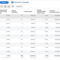 Increase the ROAS from 2.6 to 10.45