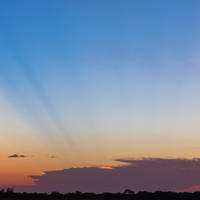 Portfolio Thumbnail 0