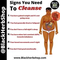 Portfolio Thumbnail 4