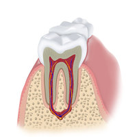 Medical illustrations