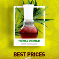 Portfolio Thumbnail 8