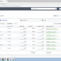 Facebook Advertisement Domestic