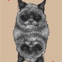 Playing Card Illustration