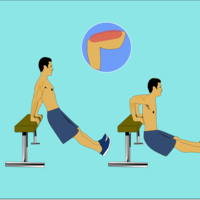 Vector Image Illustrations (Triceps Exercise)