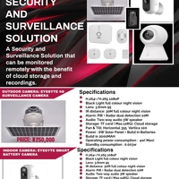 Business Flyer 