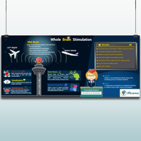 Infographic